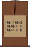 梭子魚鰆 Scroll