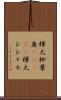 樺太柳葉魚(ateji) Scroll