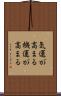 気運が高まる Scroll