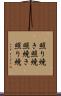 照り焼き Scroll