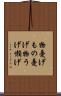 物憂げ Scroll