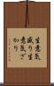 生意気盛り Scroll