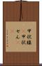 甲状腺(P) Scroll