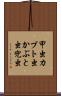 甲虫 Scroll