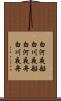 白河夜船 Scroll