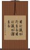 目に涙がたまる Scroll