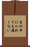 目の中に入れても痛くない Scroll