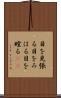 目を見張る Scroll