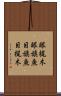 眼梶木 Scroll
