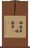稲森草(rK) Scroll