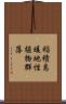 稲積島暖地性植物群落 Scroll