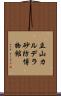 立山カルデラ砂防博物館 Scroll