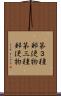 第３種郵便物 Scroll