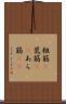 粗筋(P) Scroll