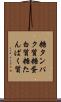 糖タンパク質 Scroll