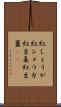 紅しょうが Scroll