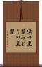 緑の黒髪 Scroll