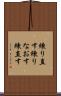 練り直す Scroll