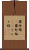 羅紗綿(rK) Scroll