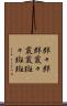 群々 Scroll