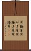 耳掻草 Scroll