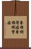 脊椎側湾症 Scroll
