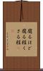 腐るほど Scroll