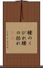 腰のくびれ Scroll