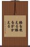 膝を抱える Scroll