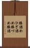 膝詰め Scroll