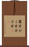 萼片 Scroll