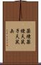 薬煉 Scroll