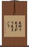 見紛う Scroll