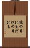 誰の目にも Scroll