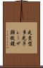 走査型多光子レーザ顕微鏡 Scroll