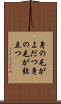 身の毛がよだつ Scroll