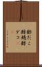 酢だこ Scroll