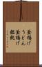 釜揚げうどん Scroll