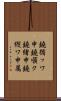 鐃循ッワ申鐃順ク鐃緒申鐃縦ワ申属 Scroll