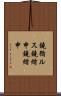 鐃循ルス鐃緒申鐃緒申 Scroll