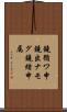 鐃循ワ申鐃出ナモグ鐃緒申属 Scroll