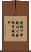 鐃循ワ申鐃初イ鐃緒申鐃緒申 Scroll