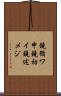鐃循ワ申鐃初イ鐃述メジ Scroll