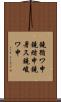 鐃循ワ申鐃緒申鐃暑ス鐃峻ワ申 Scroll