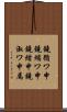 鐃循ワ申鐃縮ワ申鐃緒申鐃淑ワ申属 Scroll