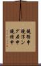 鐃循￥申鐃淳ング居申鐃緒申 Scroll