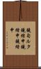 鐃旬ルタ鐃緒申鐃緒申鐃緒申 Scroll
