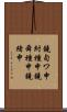 鐃旬ワ申紂種申鐃舜種申鐃緒申 Scroll