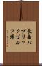 長南パブリックゴルフ場 Scroll
