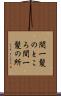 間一髪のところ Scroll